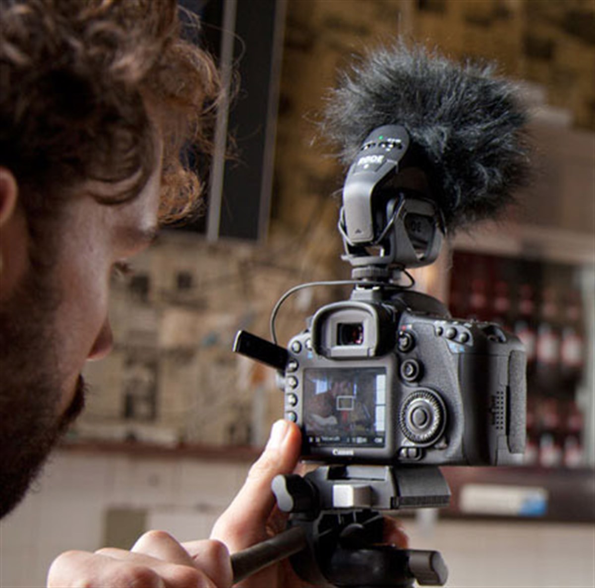Rode DeadKitten Windshield Tüylü rüzgarlık - Stereo VideoMic/NT4/iXY