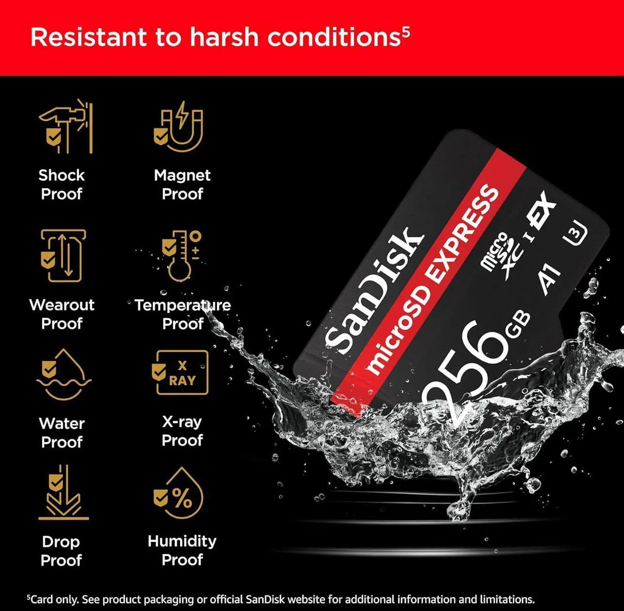 SanDisk 256 GB microSD Express Kart