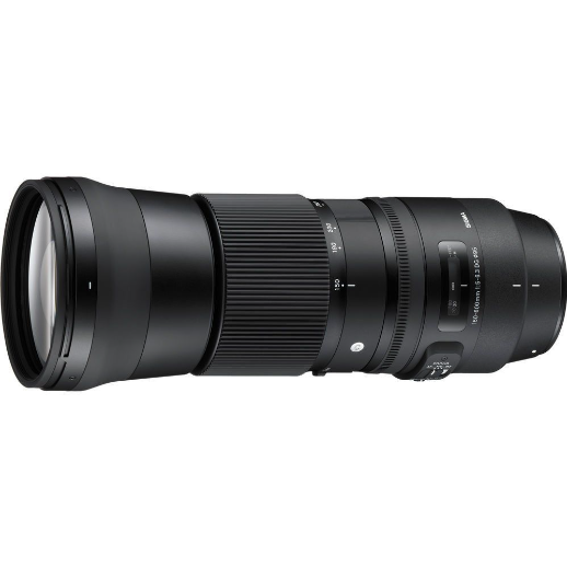 Sigma 150-600mm f/5-6.3 DG OS HSM (C) Lens (Nikon F Bayonet)
