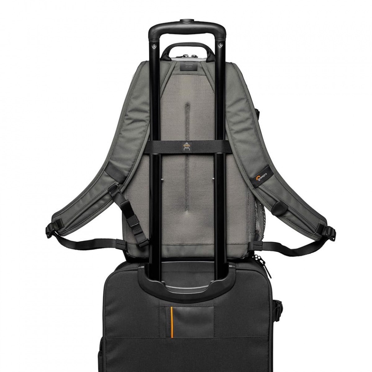 Truckee BP 200 LX