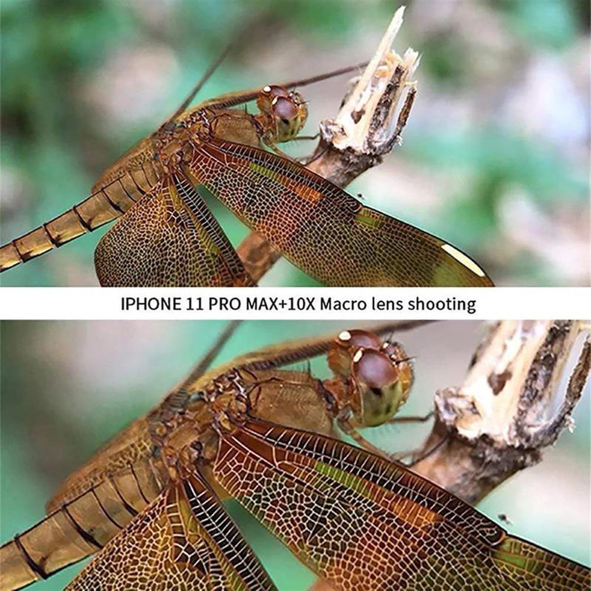 Ulanzi U-lens iPhone 11 Pro Çoklu Profesyonel Lens