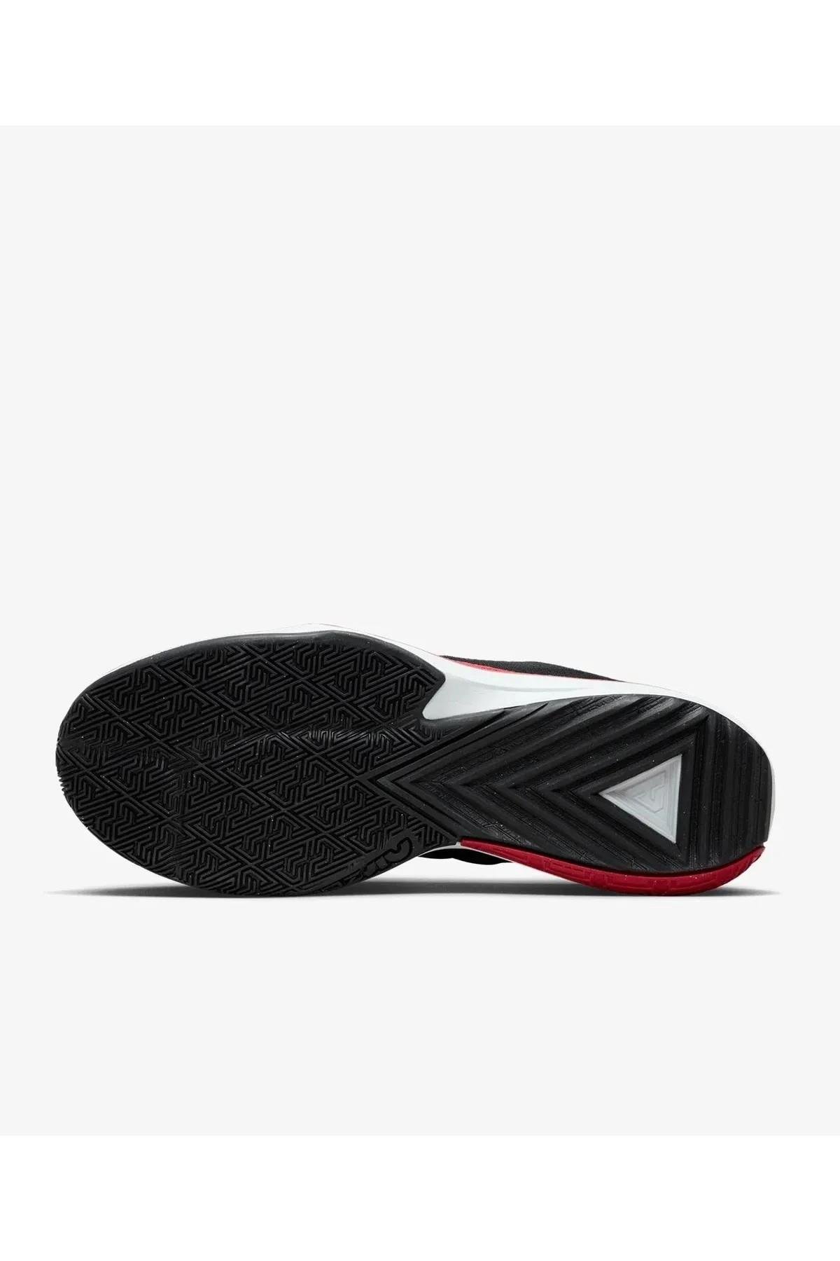 Nike DX4985-004 Zoom Freak 5 Erkek Basketbol Ayakkabısı