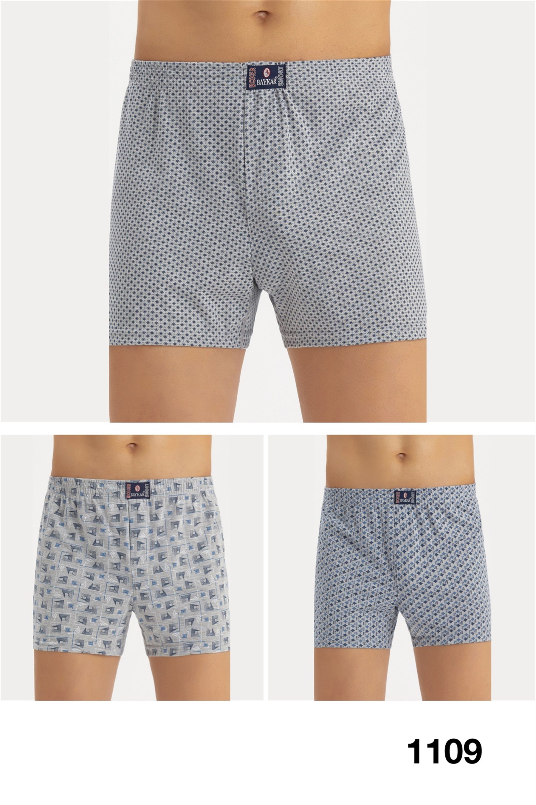 1109 Baykar Emp Gmelanj Boxer