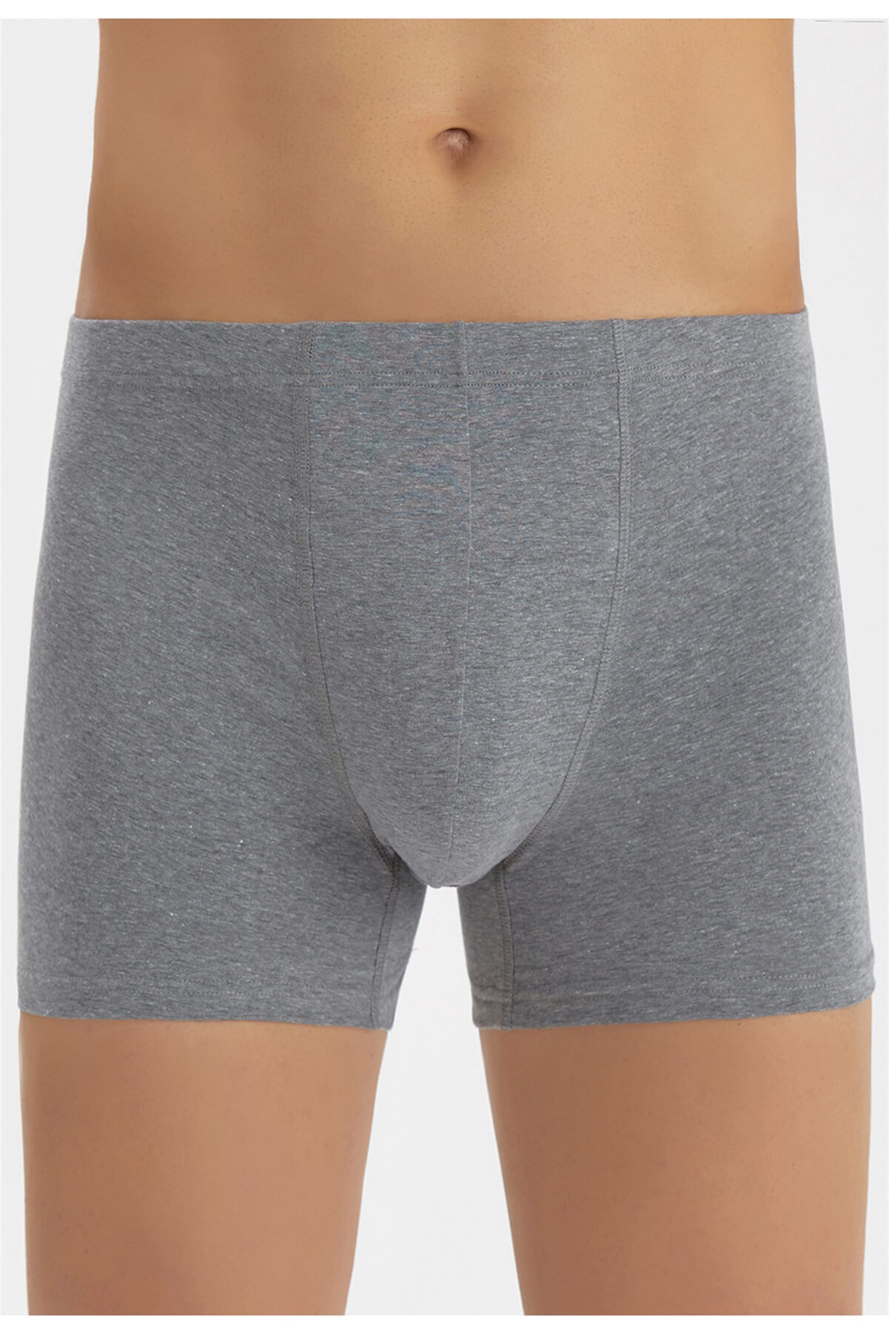 1210-22 Baykar ErkekGeçme Boxer Gri