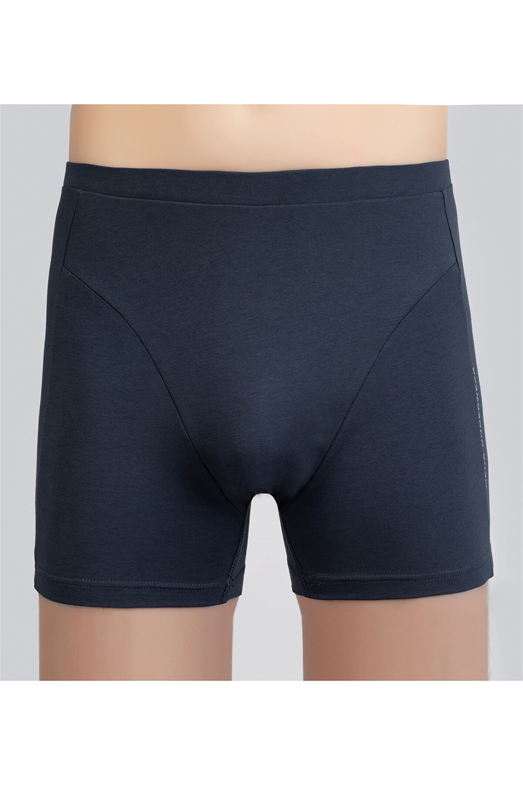 1223-23 Baykar Erkek Boxer Mavi