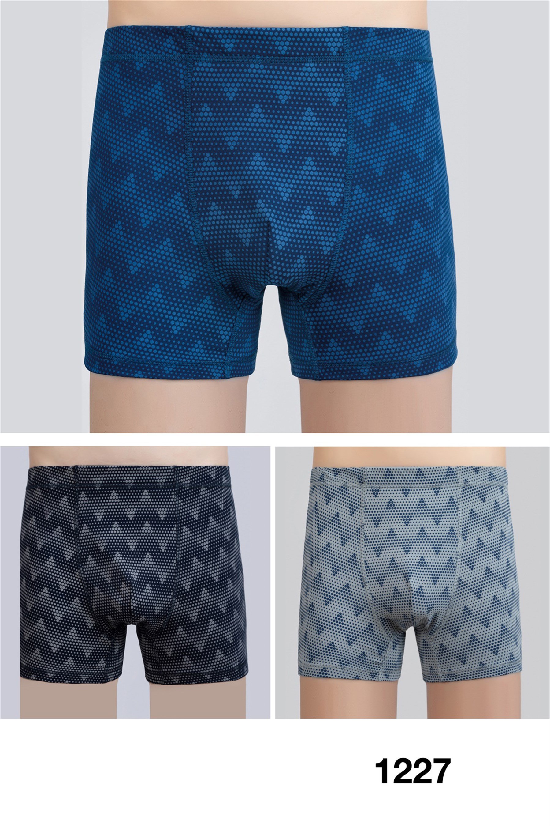 1227 Baykar Erkek Boxer