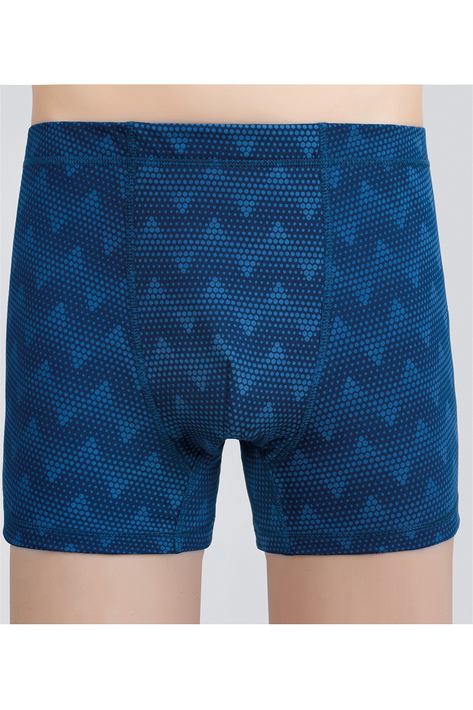 1227 Baykar Erkek Boxer