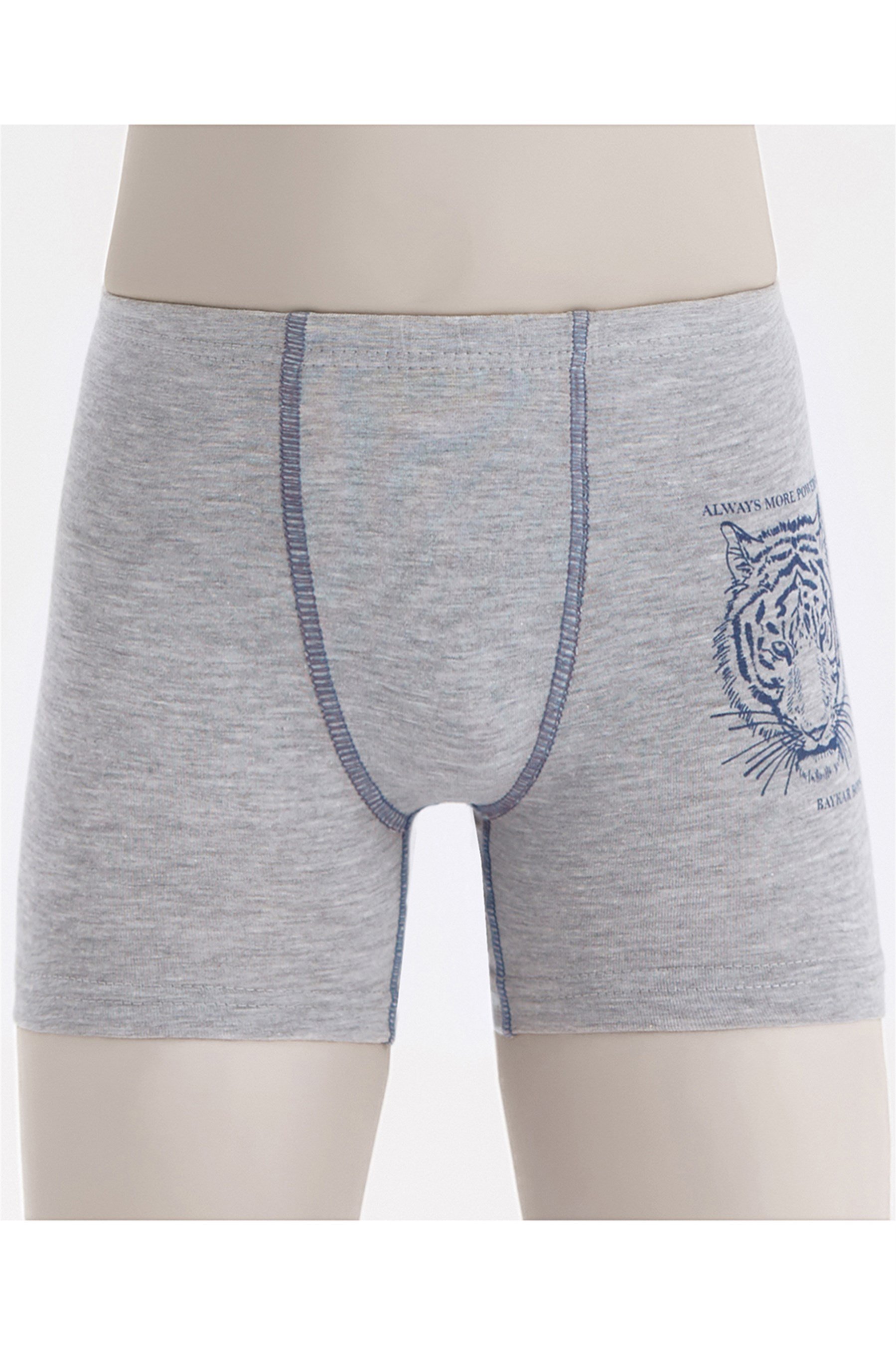 3106 Baykar Aslan Bası Boxer