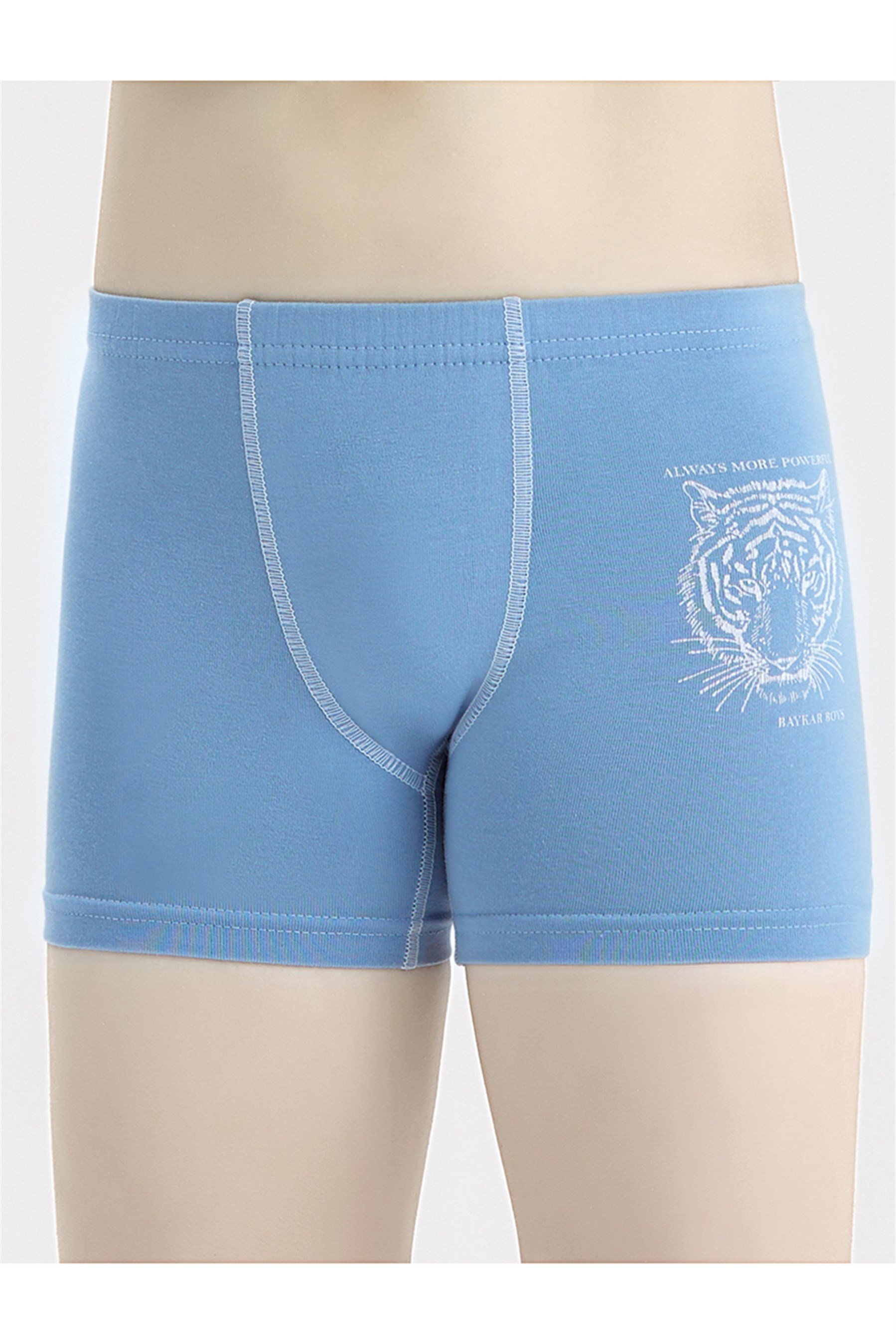 3106 Baykar Aslan Bası Boxer