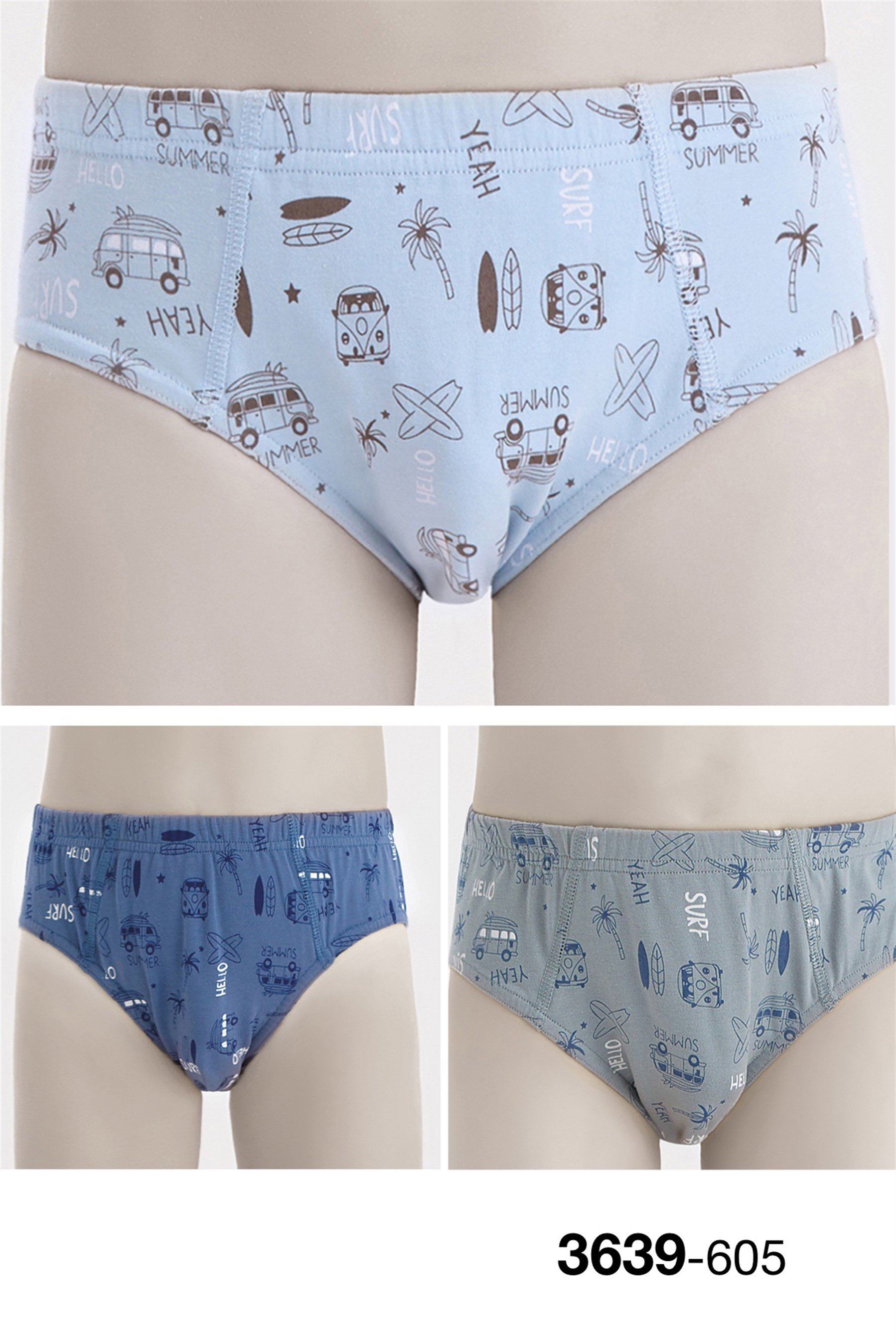 3639 Baykar Erkek Çocuk Külot