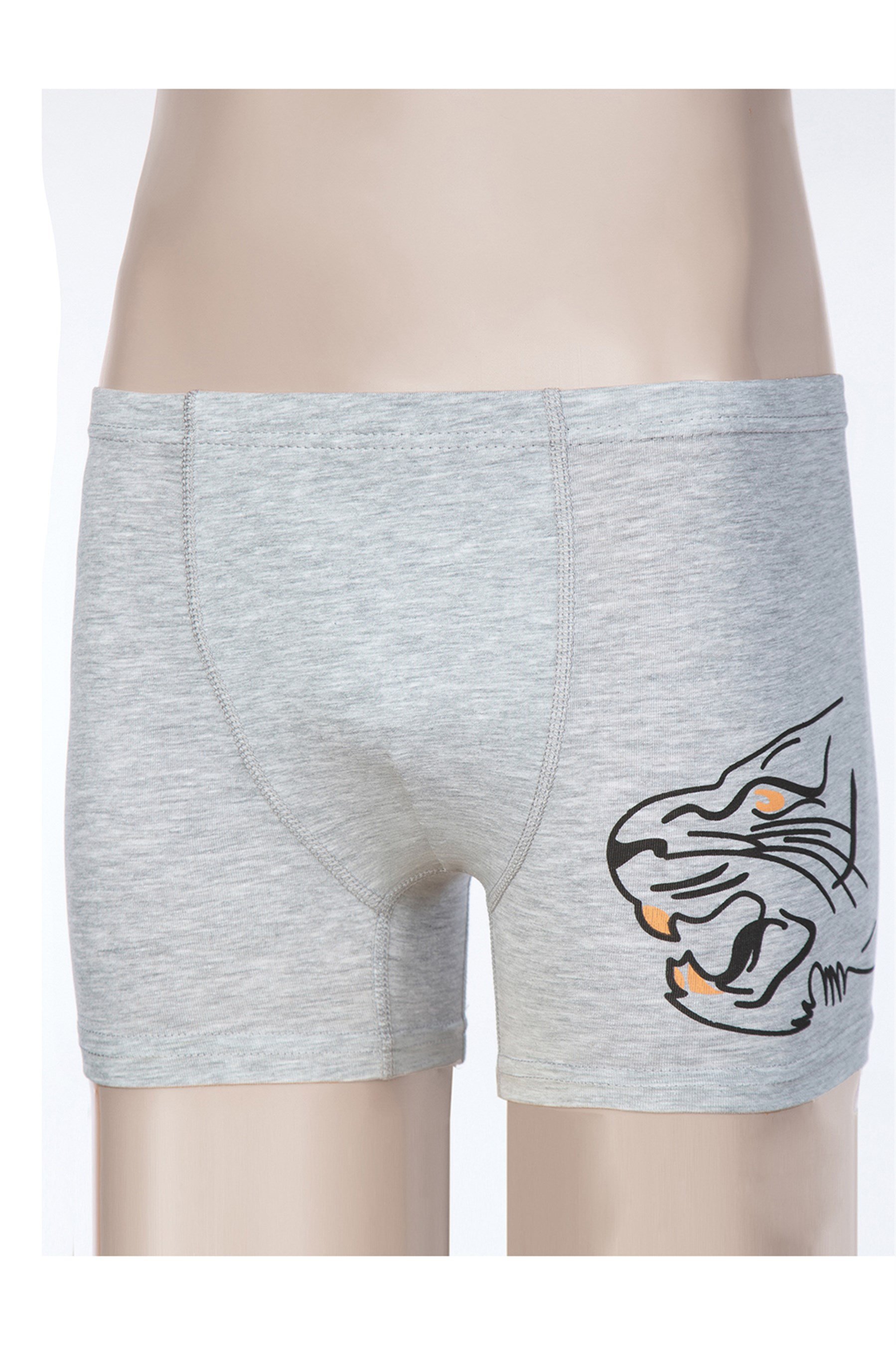 3917 Baykar Erkek Gar Kap Boxer