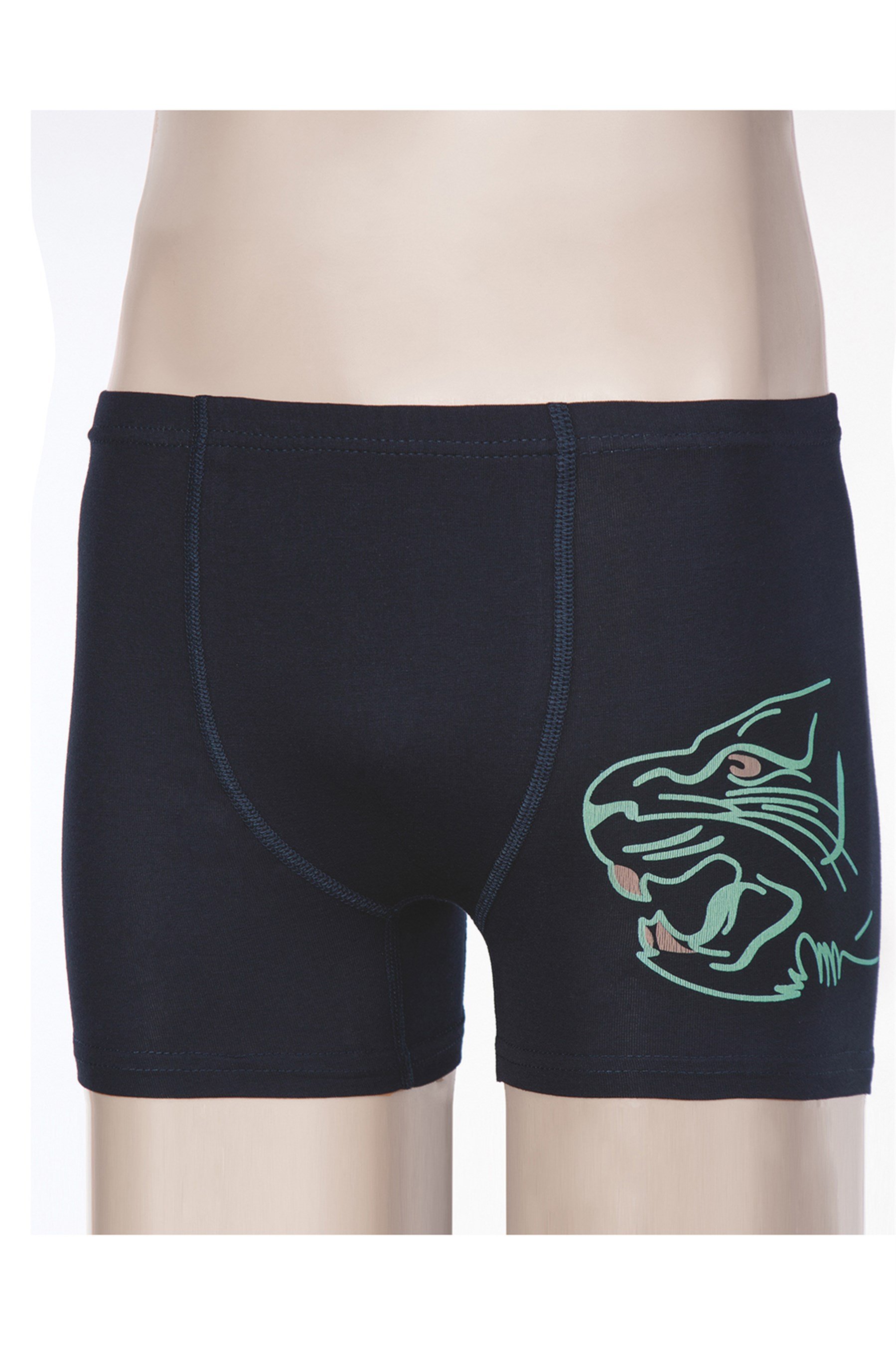 3917 Baykar Erkek Gar Kap Boxer