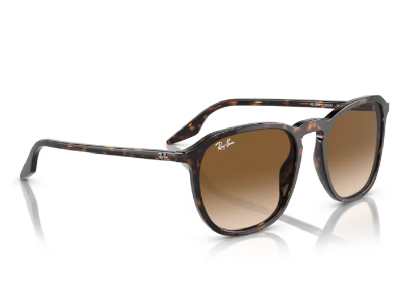 HAVANA RB2203 902/51 52