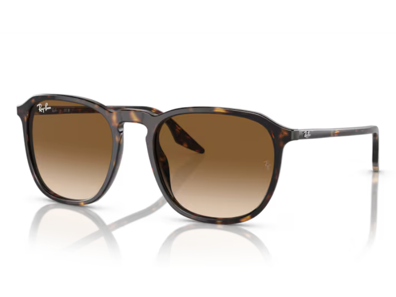 HAVANA RB2203 902/51 52