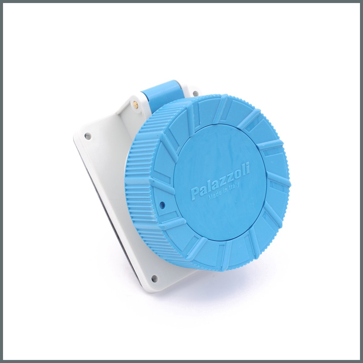 Fiş ve PrizlerPalazzoli TopTER Serisi Pano Prizi 32A (IP66/IP67) 230V h:6 2P+T