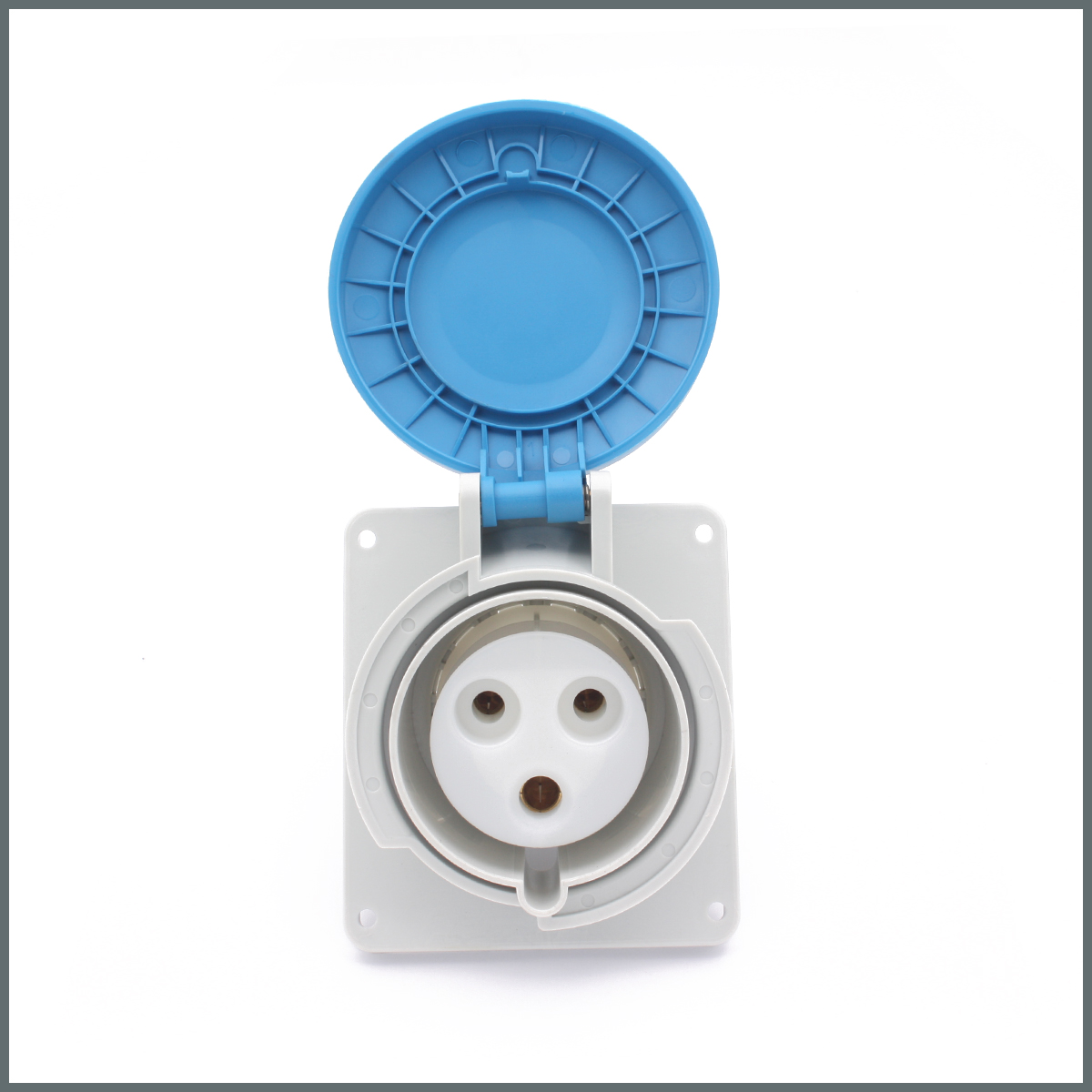 Fiş ve PrizlerPalazzoli TopTER Serisi Pano Prizi 32A (IP44) 230V h:6 2P+T