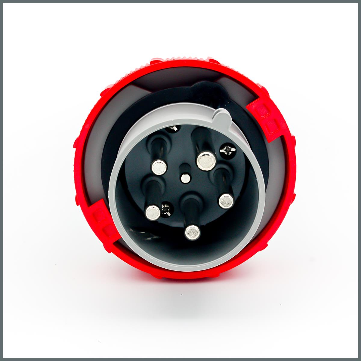 Palazzoli Cee Norm Düz Fiş 63A (IP67) 400V 3P+N+T h:6