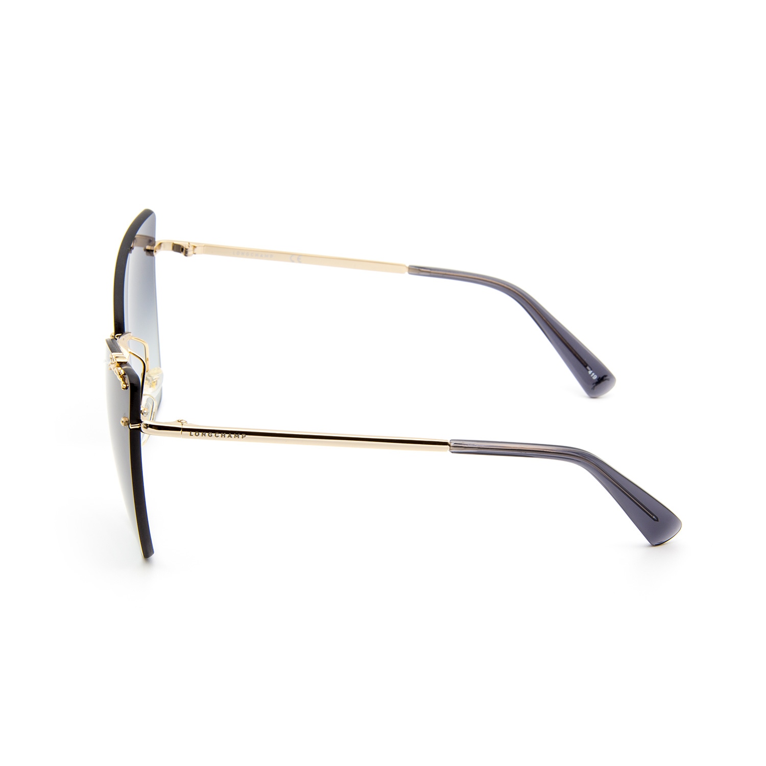 Longchamp 119S 035 Kadın Güneş Gözlüğü