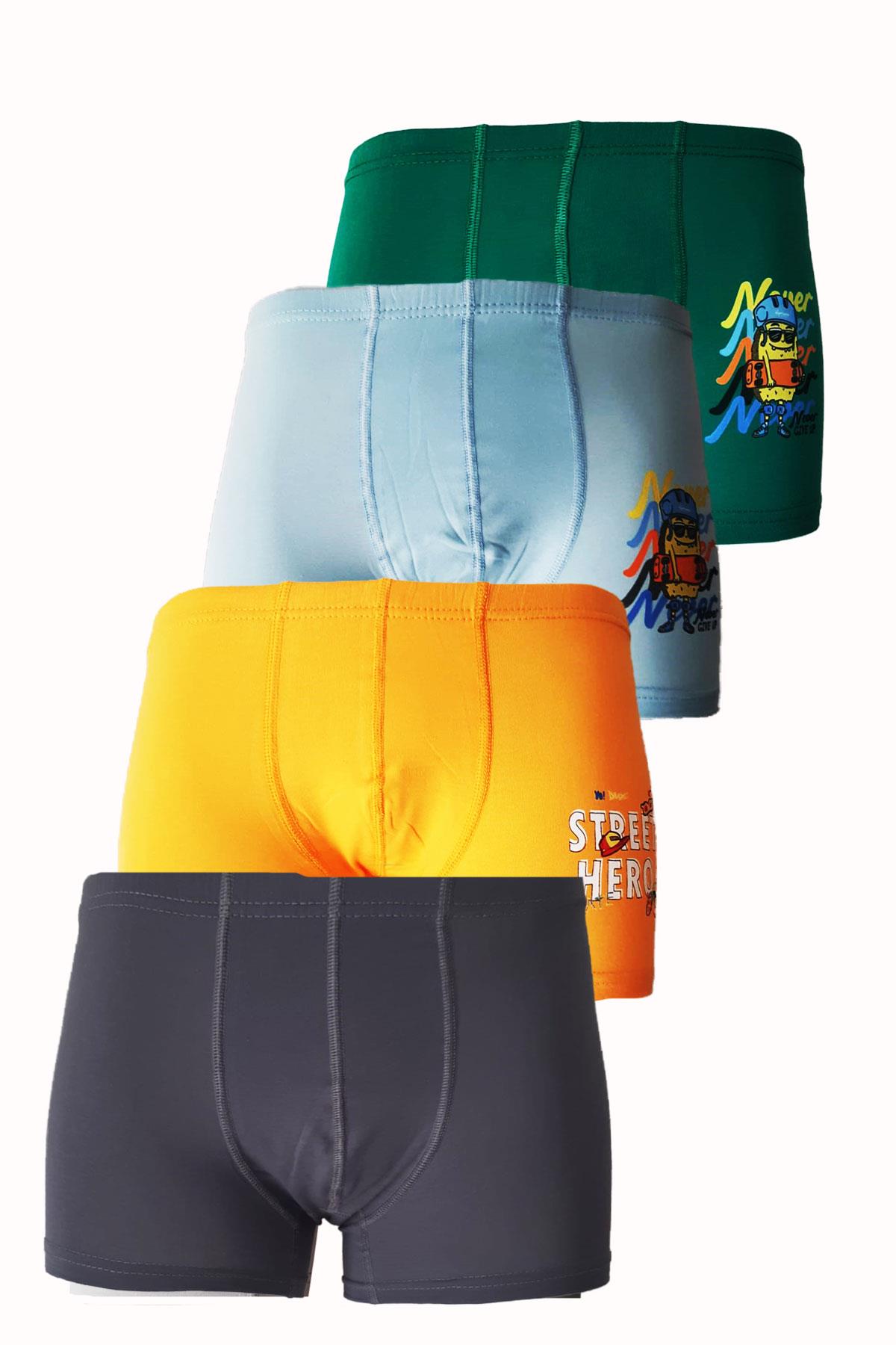 4lü Erkek Çocuk Boxer Pamuklu Renkli Rahat Karışık Paçalı Don lxx