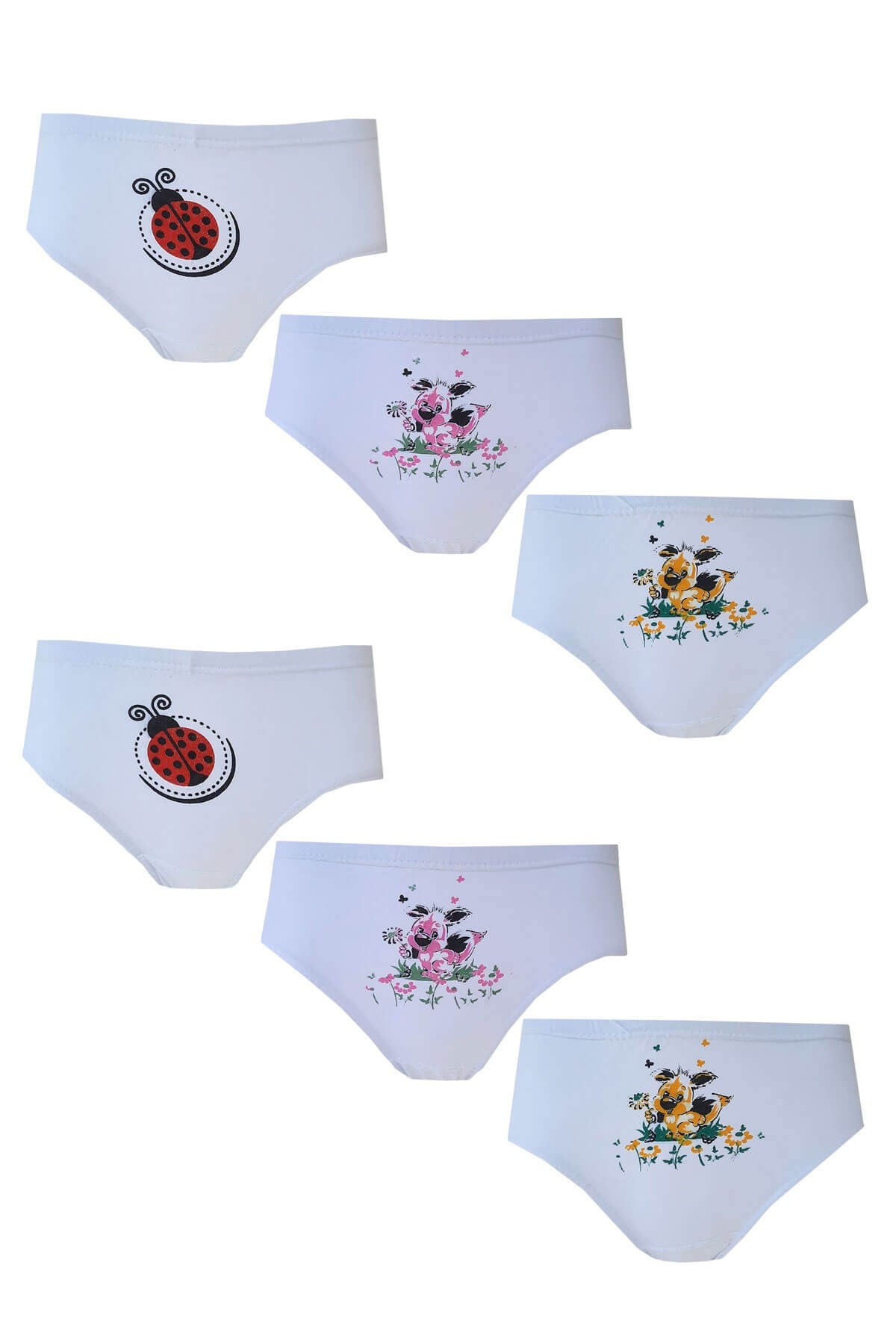 6lı Kız Çocuk Slip Külot Baskılı Pamuklu Rahat Ekonomik 