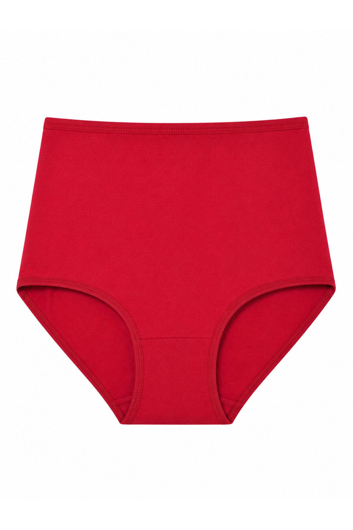 Kadın Büyük Beden Bikini Yüksek Bel Pamuklu Külot Ekonomik