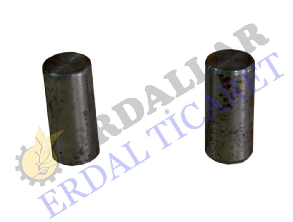 TIRMIK CIRCIR FİŞEĞİ