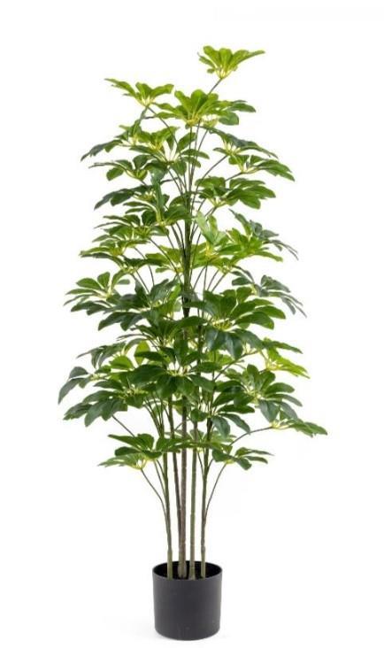 Çinpa Sheflera Real Touch 125 Cm 0103627
