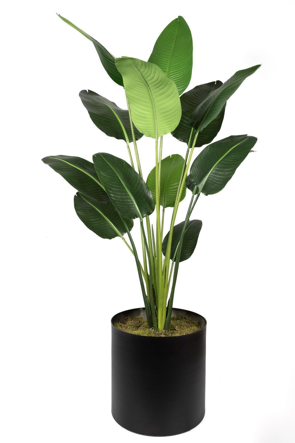 Çinpa Starliçe Real Touch 185 Cm 13Lvs 0106101