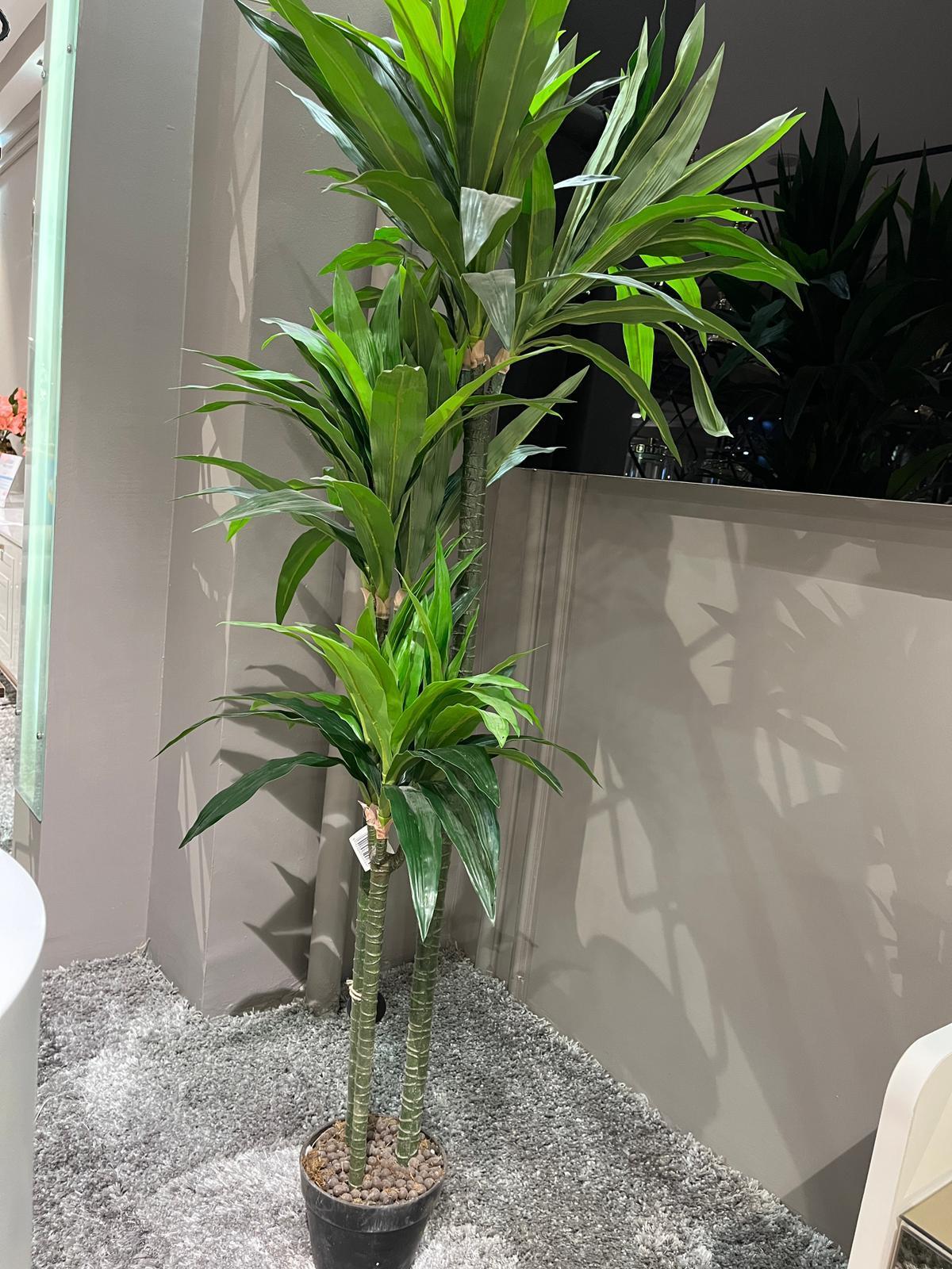 Crearthome Dracena Yapay Dekoratif Ağaç 3 Gövde 150 cm