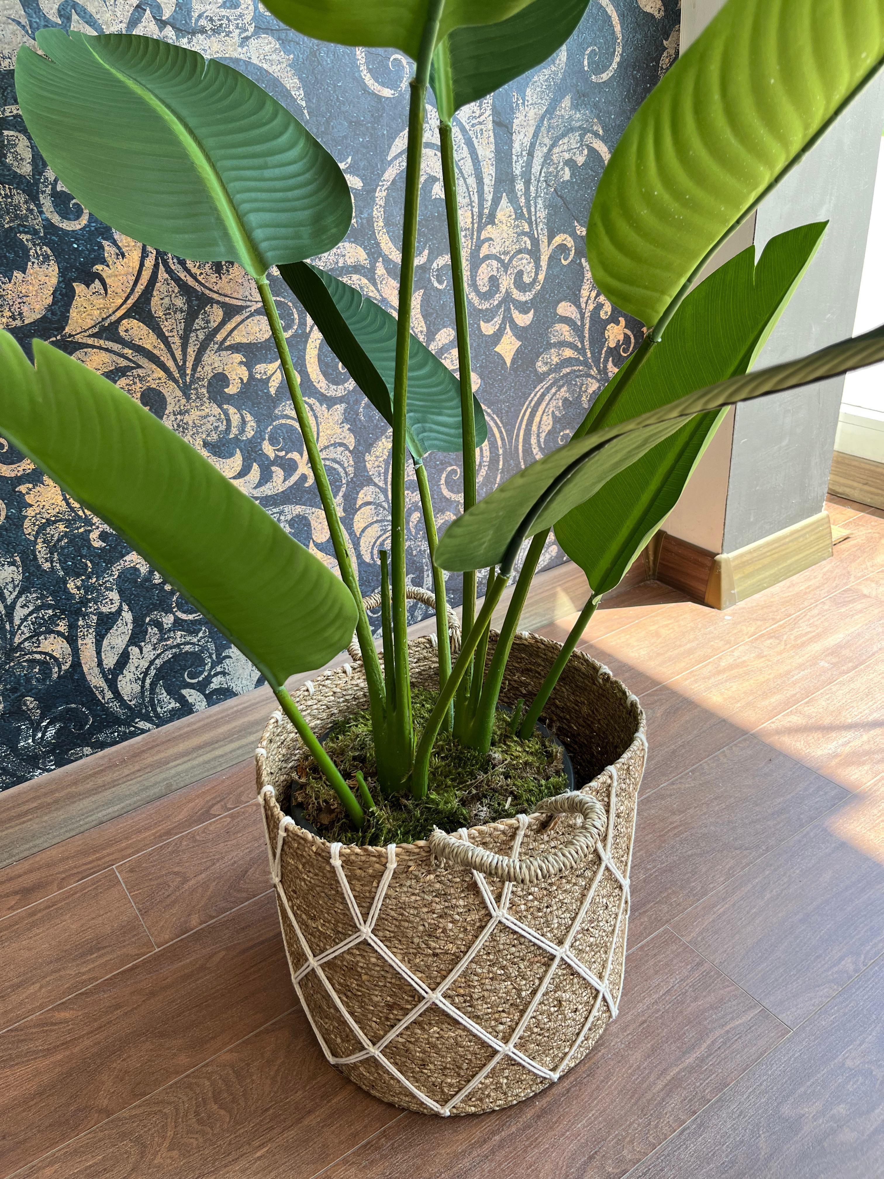 Crearthome Evdema Dekoratif Halat Sepet 30x30 Cm Hasır Sepet Düzenleyici