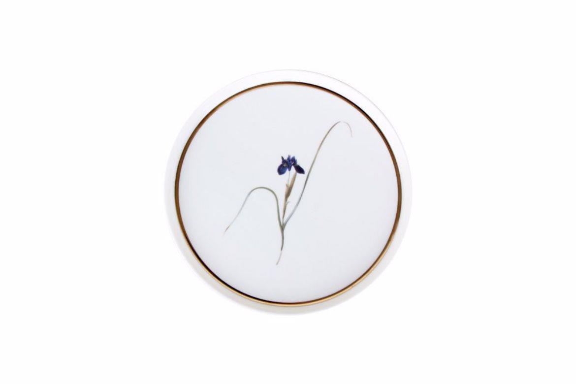 Porland Botanical 21cm  4'lü Pasta Takımı 04ALM007234