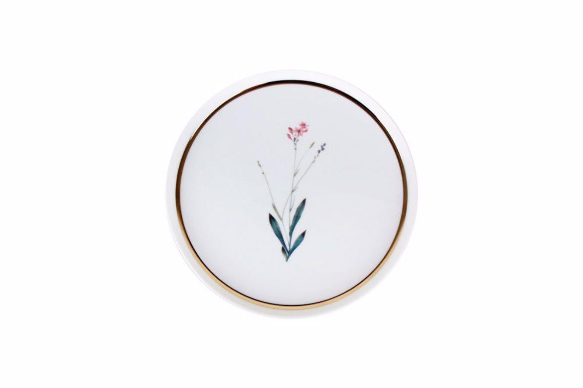Porland Botanical 21cm  4'lü Pasta Takımı 04ALM007234