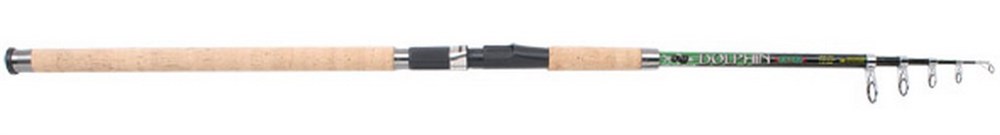 Dolphin Carbon Kamış