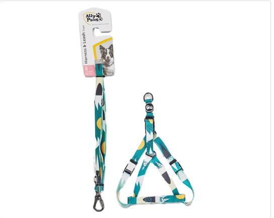 ALLY PAWS Harness And Leash Tape Göğüs Tasması Seti S 1,5 CM*120 CM