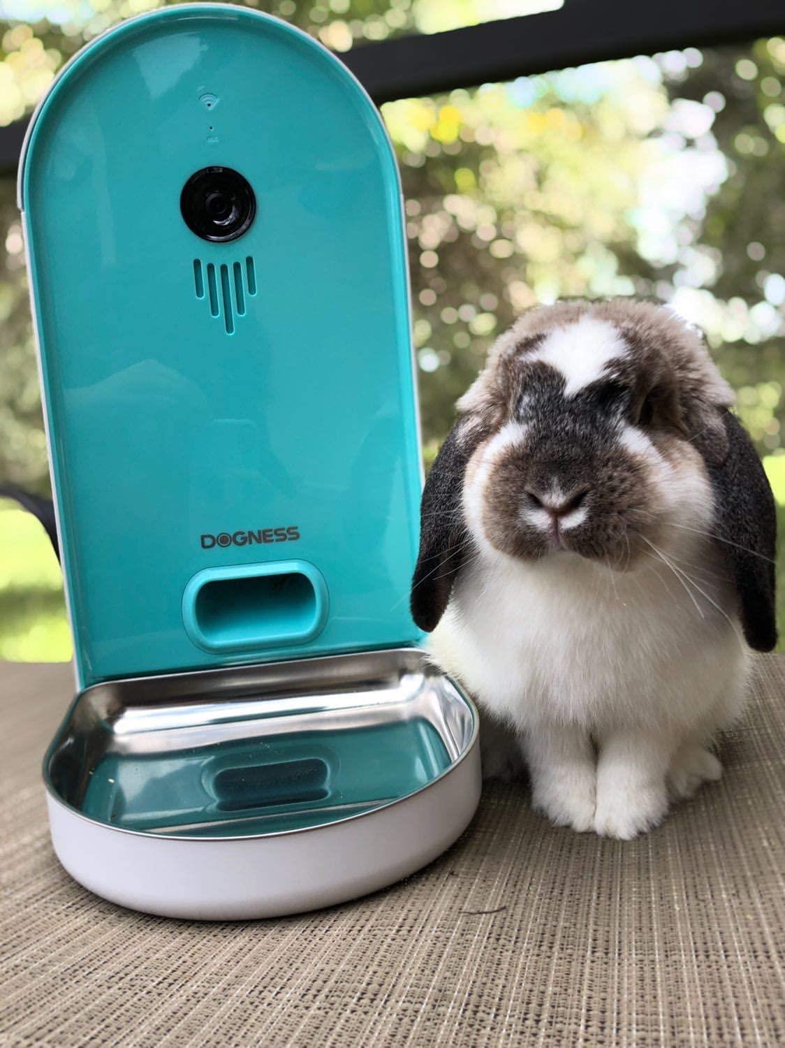 Dogness Smart Cam Feeder Wifi Hd Kameralı Akıllı Otomatik Kedi Köpek Mama Kabı 6 LT Turkuaz