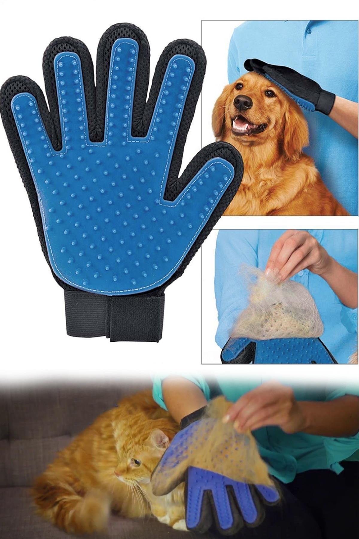 Glipet Kedi Köpek Tüy Toplama Eldiveni Mavi