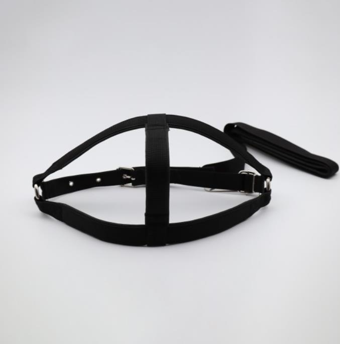 Glipet Köpek Göğüs Tasması Takımı Yumuşak Dokulu Destekli Siyah Renk 2Cm