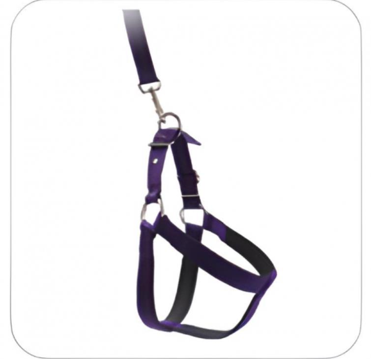 Glipet Köpek Yumuşak Doku Destekli Göğüs Tasması Seti Siyah S Beden 1,5Cm