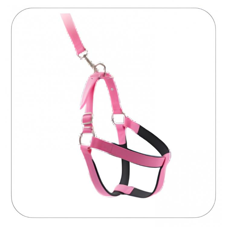 Glipet Köpek Yumuşak Doku Destekli Göğüs Tasması Seti Pembe XS Beden