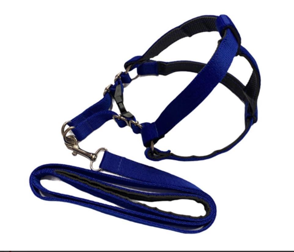 Glipet Köpek Yumuşak Doku Destekli Göğüs Tasması Seti Lacivert XL Beden 2,5Cm