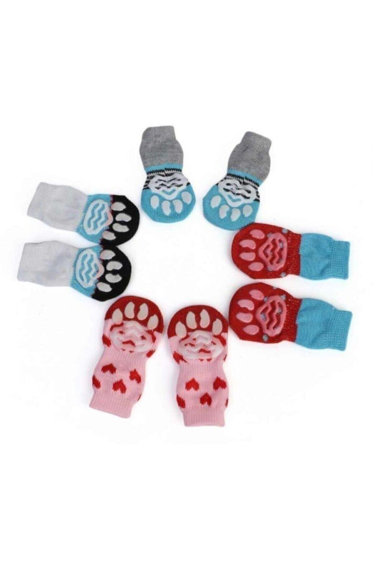 Glipet Küçük Irk Köpekler Için Kaymaz Tabanlı Çorap 4lü Medium