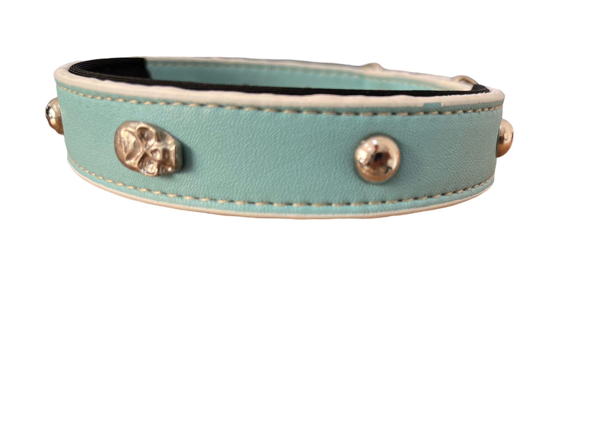 Glipet Kuru Kafalı Yumuşak Dokulu Turkuaz Köpek Boyun Tasması 2x45 Cm