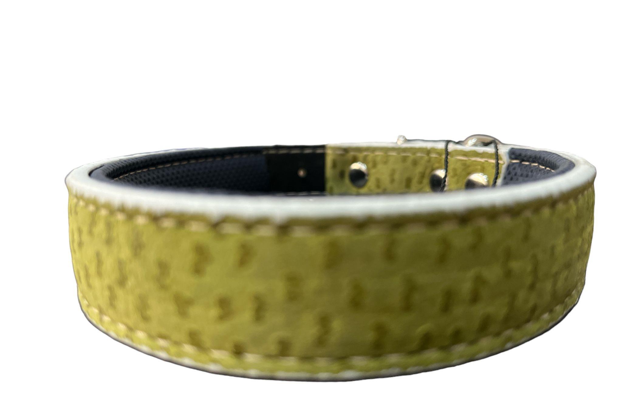 Glipet Yeşil Renkli Nubuk Deri Destekli Yumuşak Doku Boyun Tasması 2,5x45 Cm