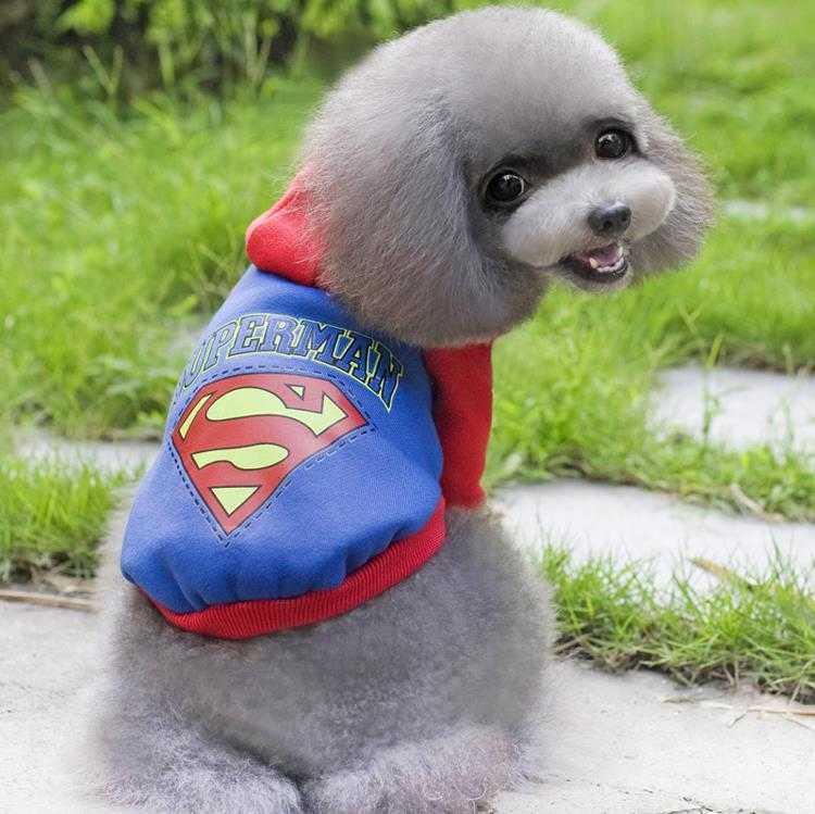 Lion Superman Köpek Elbisesi XLarge MQ-QZ105
