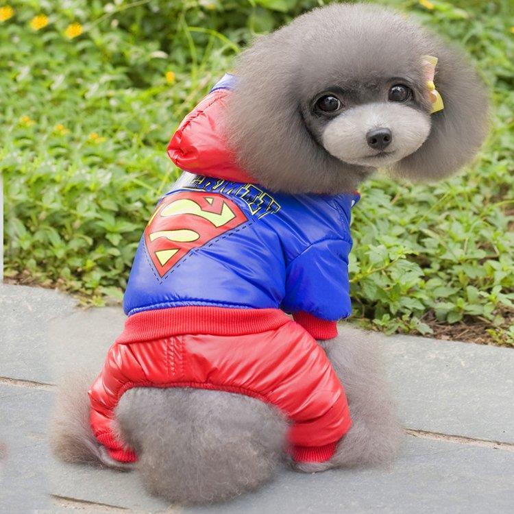 Lion Superman Köpek Yağmurluğu Medium MQ-QZ94
