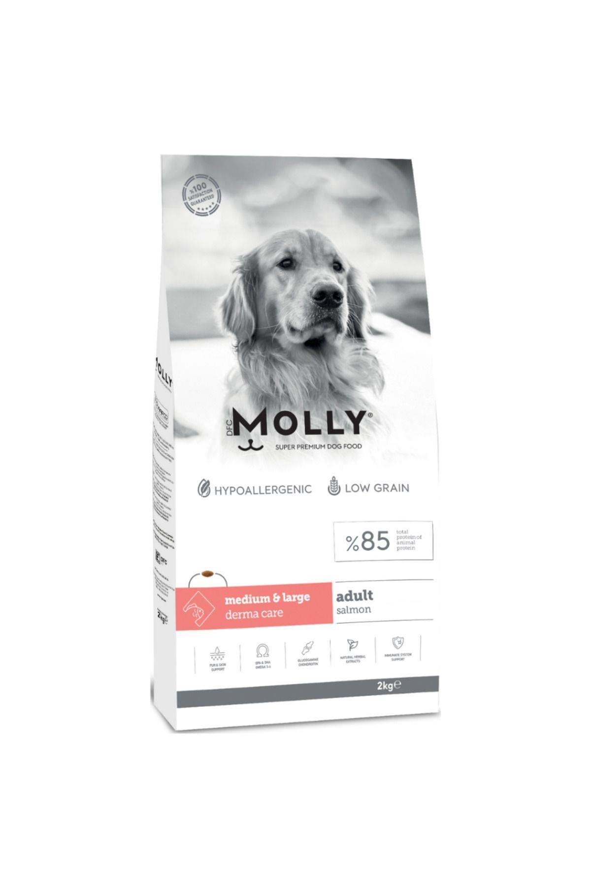 Molly Medium Adult Derma Care Somonlu Orta ve Büyük Irk Yetişkin Köpek Maması 2 Kg