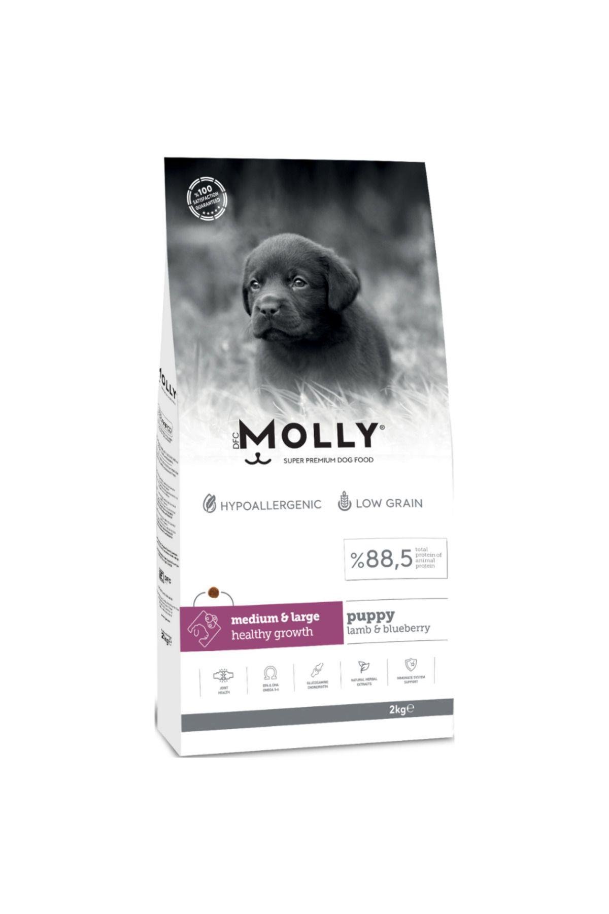 Molly Medium Puppy Kuzu Etli & Yaban Mersinli Orta ve Büyük Irk Yavru Köpek Maması 2 Kg