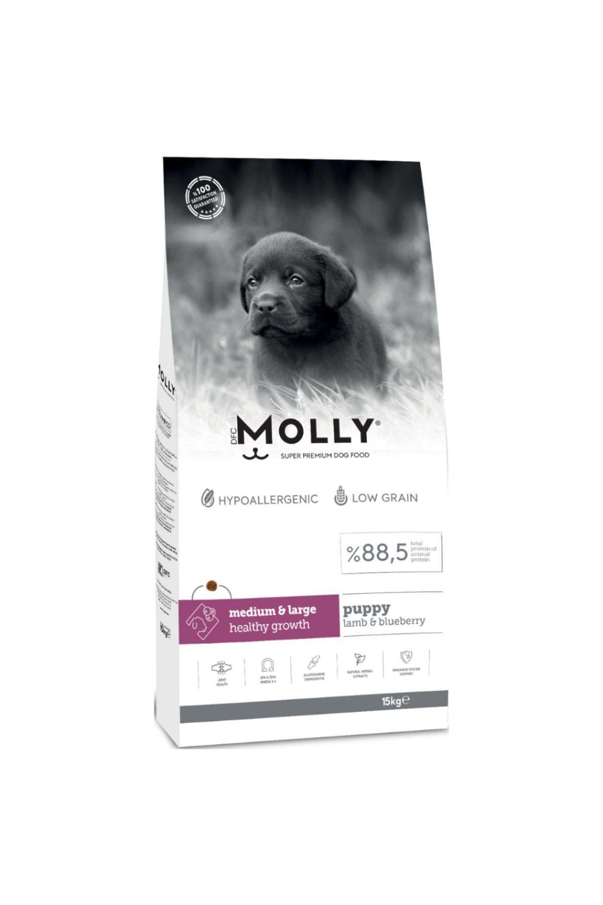 Molly Medium Puppy Kuzu Etli & Yaban Mersinli Orta ve Büyük Irk Yavru Köpek Maması 15 Kg