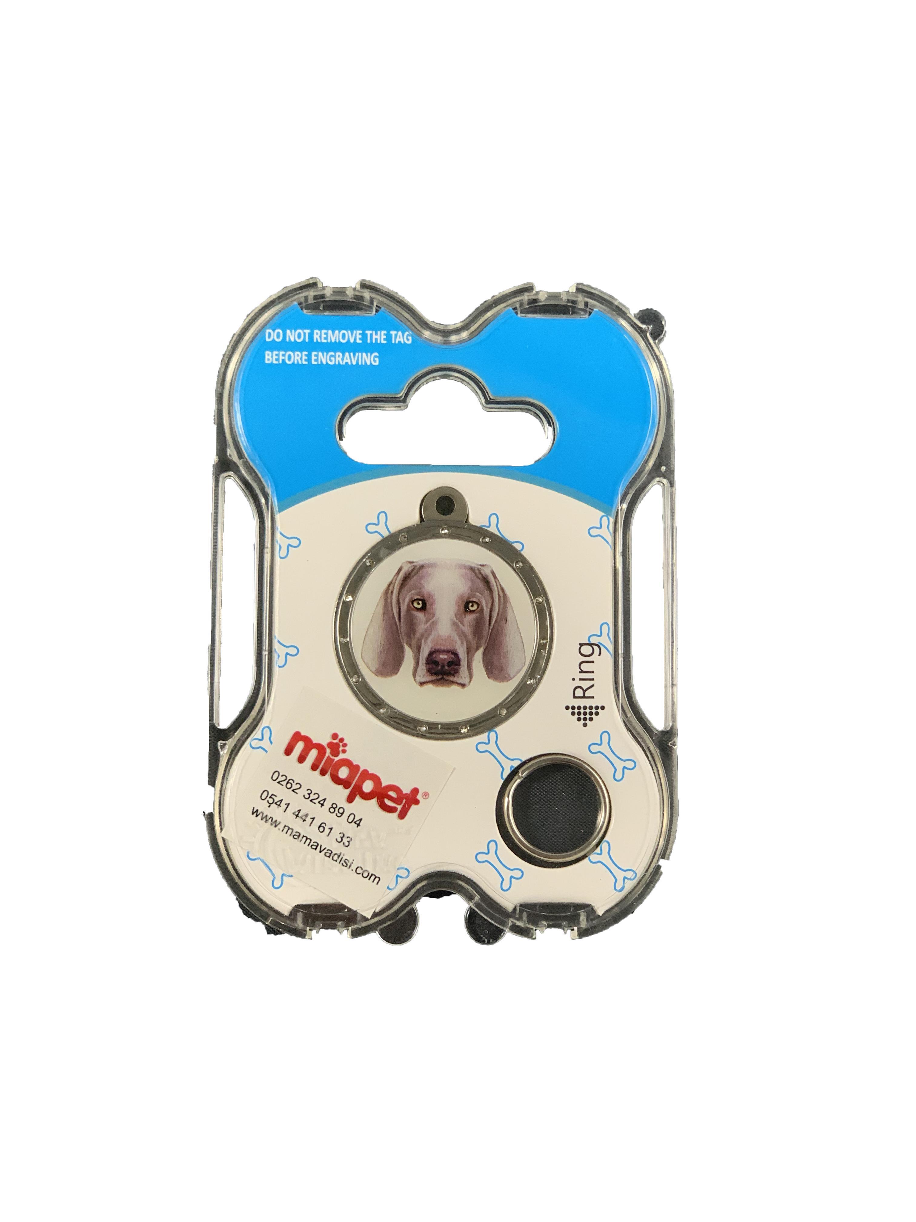 NW Köpek Künyesi İsimlikli pt131