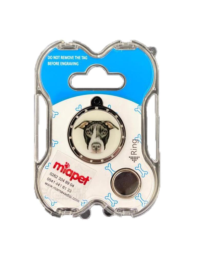 NW Köpek Künyesi İsimlikli pt138